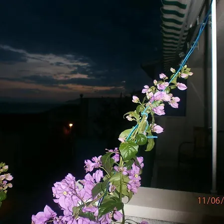 Luce מאקרסקה